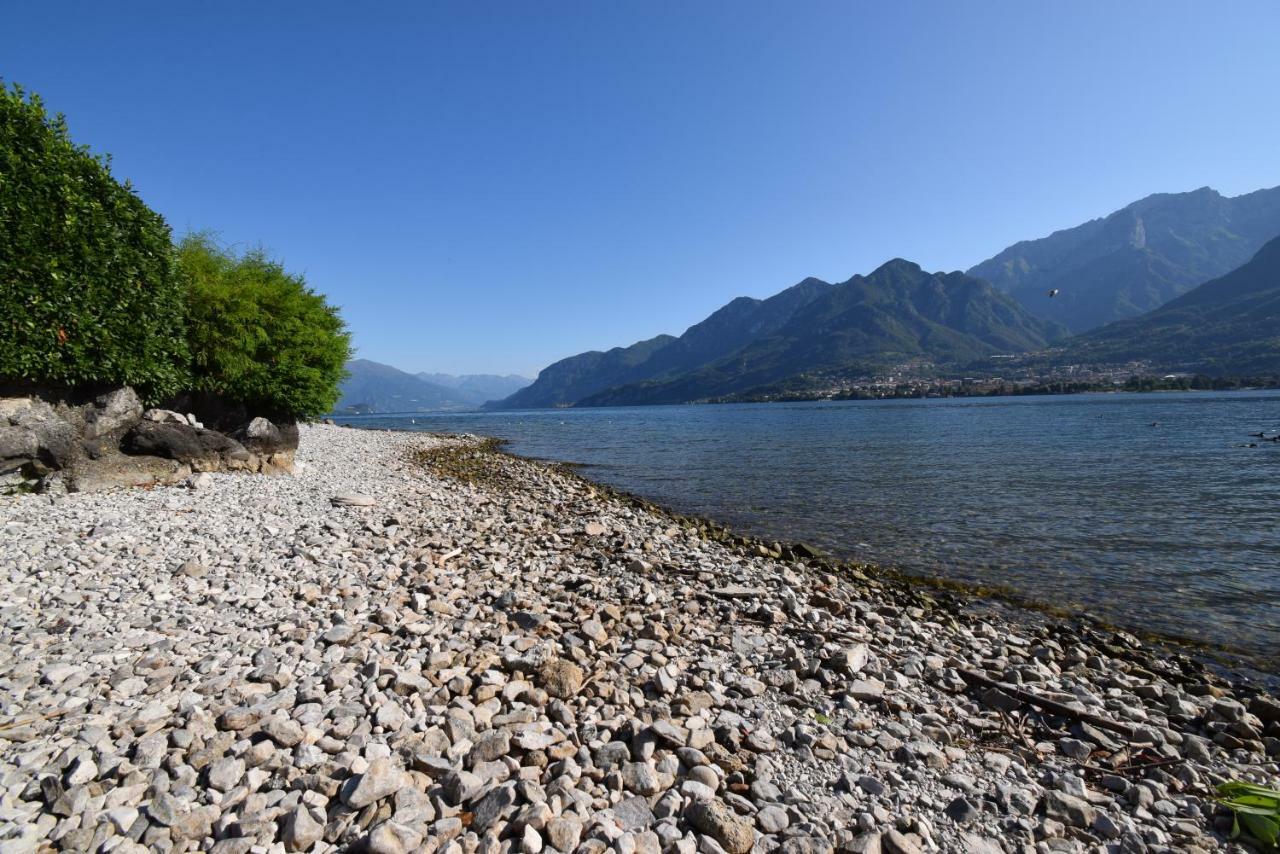 Villa Mimosa Bellagio Wild Flowers Oliveto Lario Exterior photo